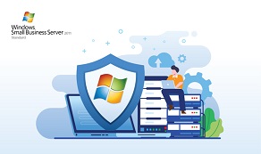 Install Windows Small Business Server 2011 Standard