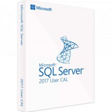 SQL Server 2017 Standard - User CALs, Client Access Licenses: 1 CAL, image 