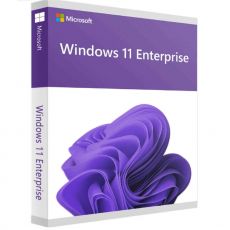Windows 11 Enterprise, image 